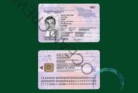 Georgia Identification Card Template