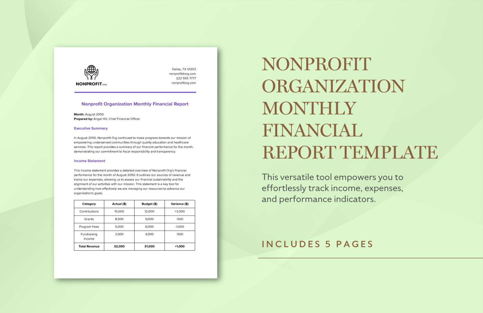 Nonprofit Organization Monthly Financial Report Template in PDF